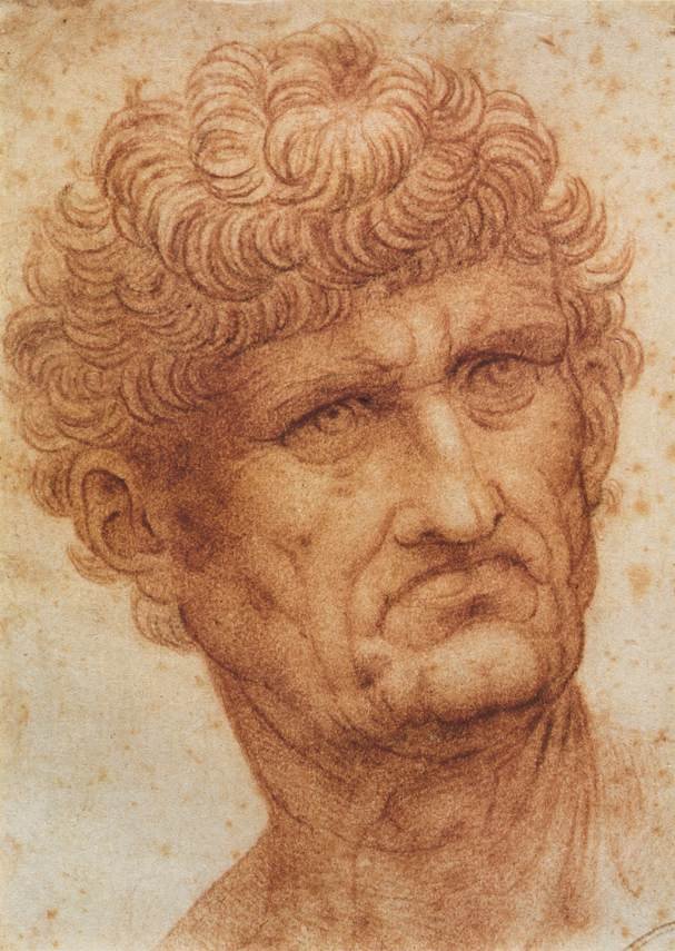 Bir Adamın Başı by Leonardo da Vinci