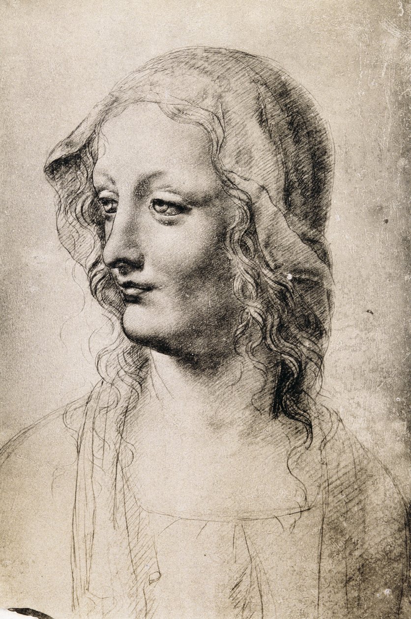 Genç Bir Kadının Başı (kağıt üzerinde kömür) by Leonardo da Vinci