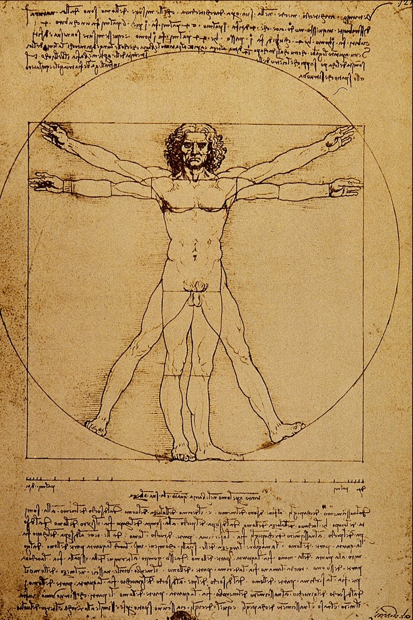 İnsan Vücudu Çalışması by Leonardo da Vinci