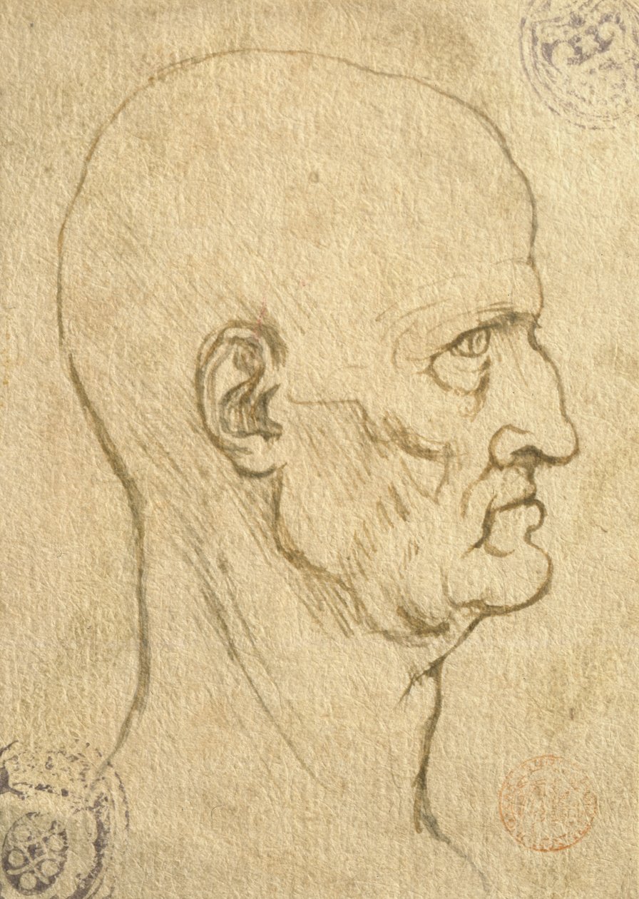 İnsan oranlarının incelenmesi by Leonardo da Vinci