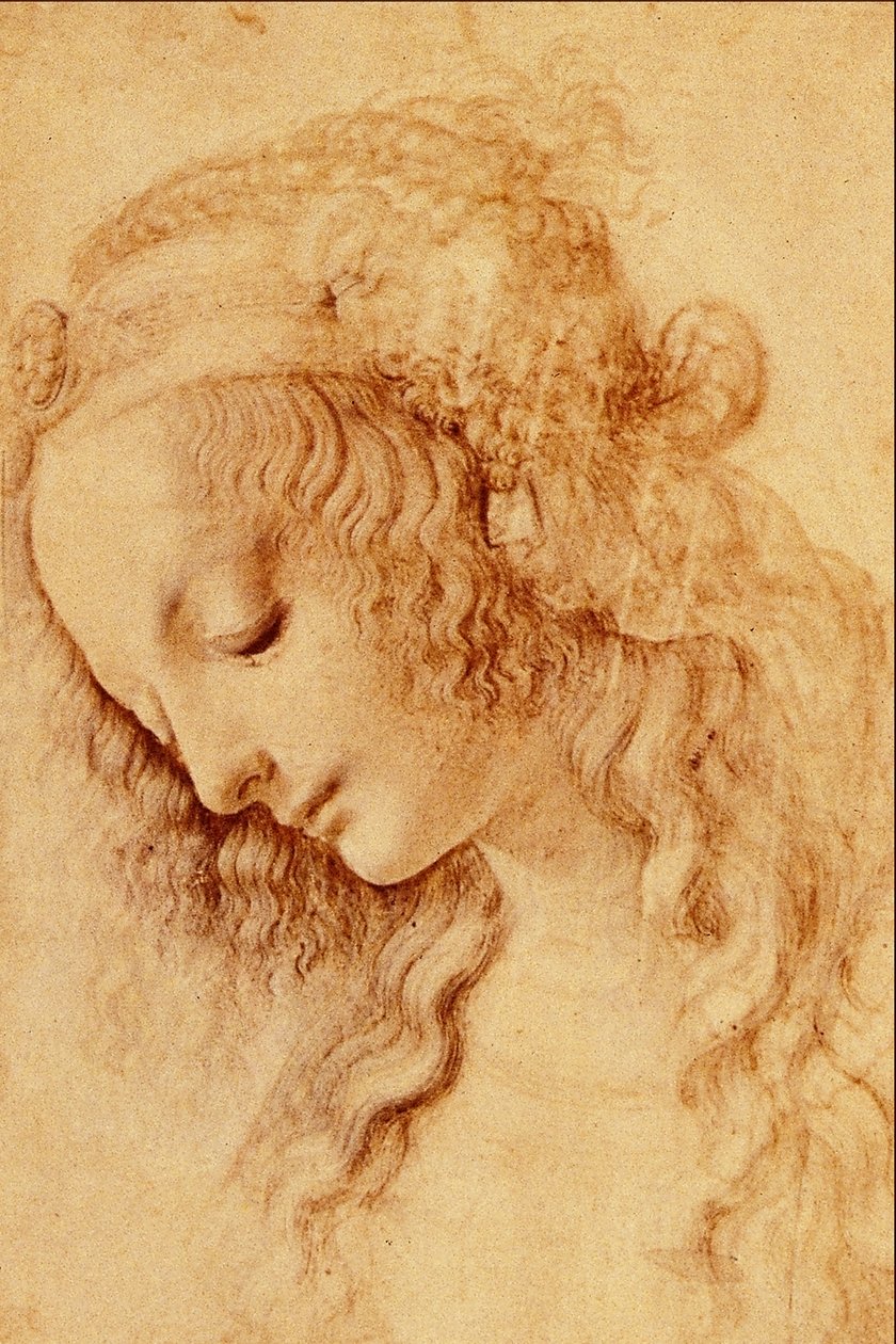 Profildeki Bir Kadının Başları by Leonardo da Vinci