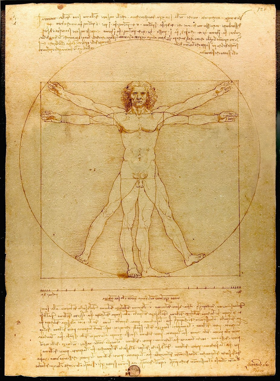 Vitruvius Luc Viatour by Leonardo da Vinci