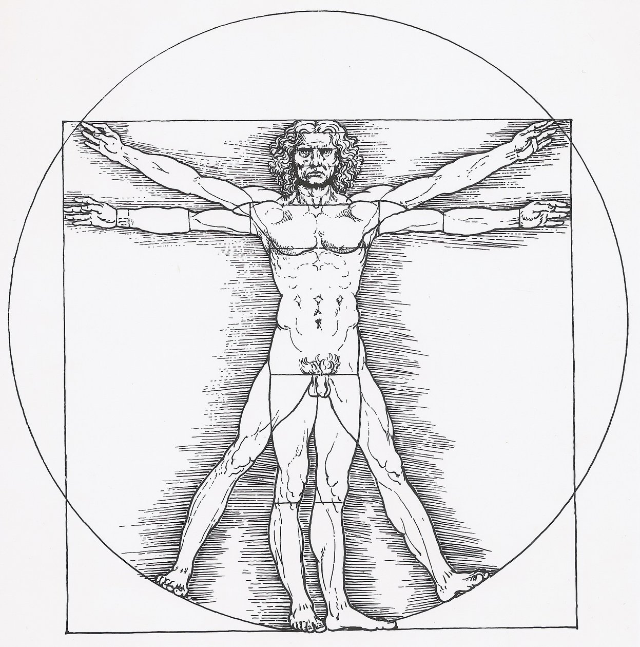 Vitruvianischer Mann by Leonardo da Vinci