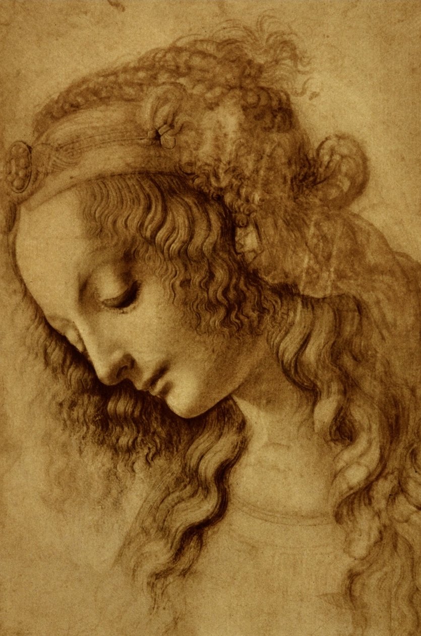 Profildeki Kadın by Leonardo da Vinci