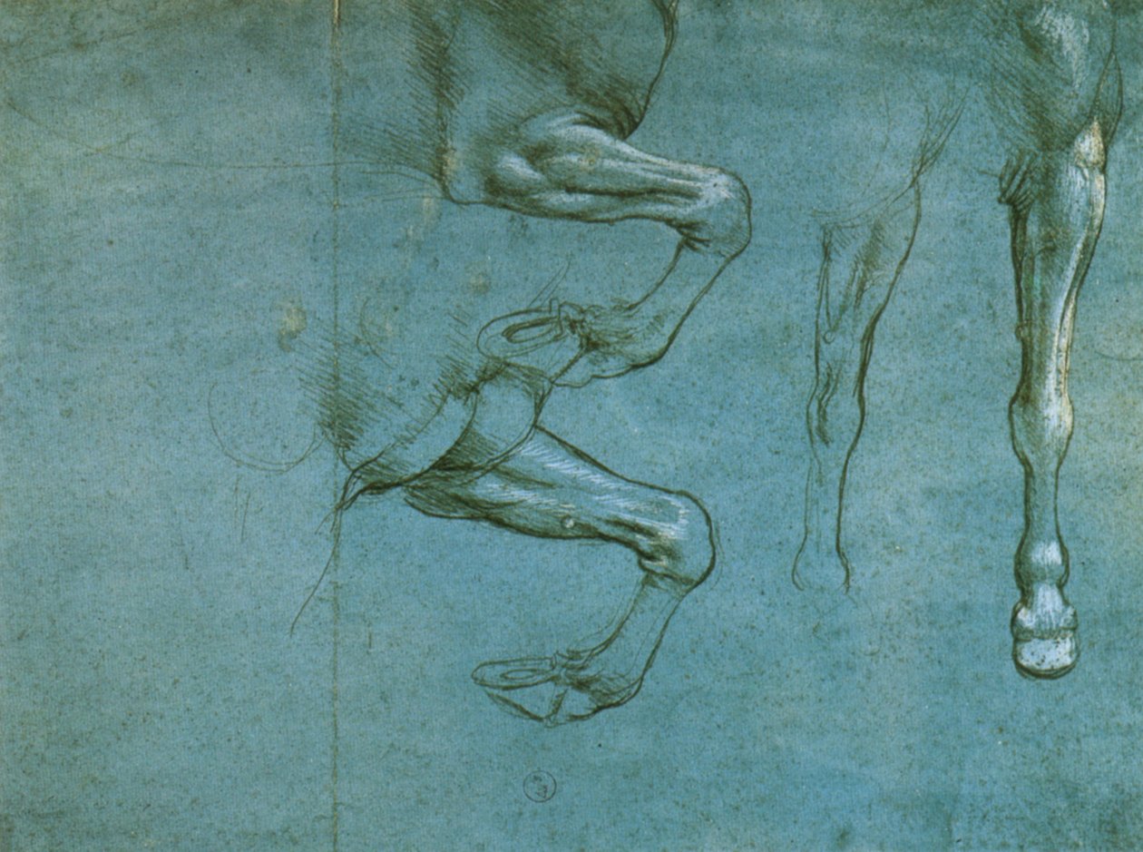 bir atın ön bacaklarının incelenmesi by Leonardo da Vinci