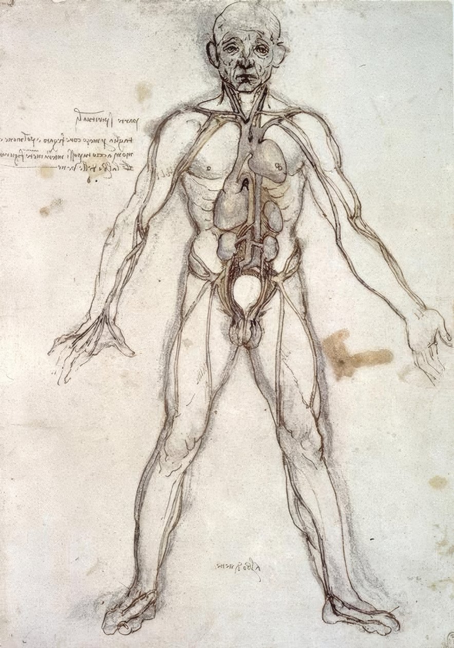 Gemi ağacı by Leonardo da Vinci