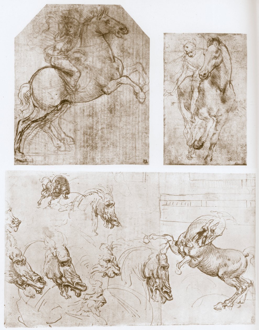 Süvari, 1480-1481. by Leonardo da Vinci