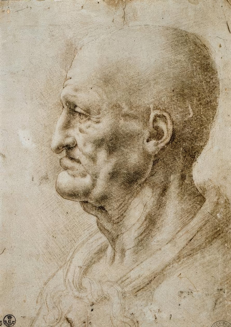 Yaşlı bir adamın kafa çalışması by Leonardo da Vinci