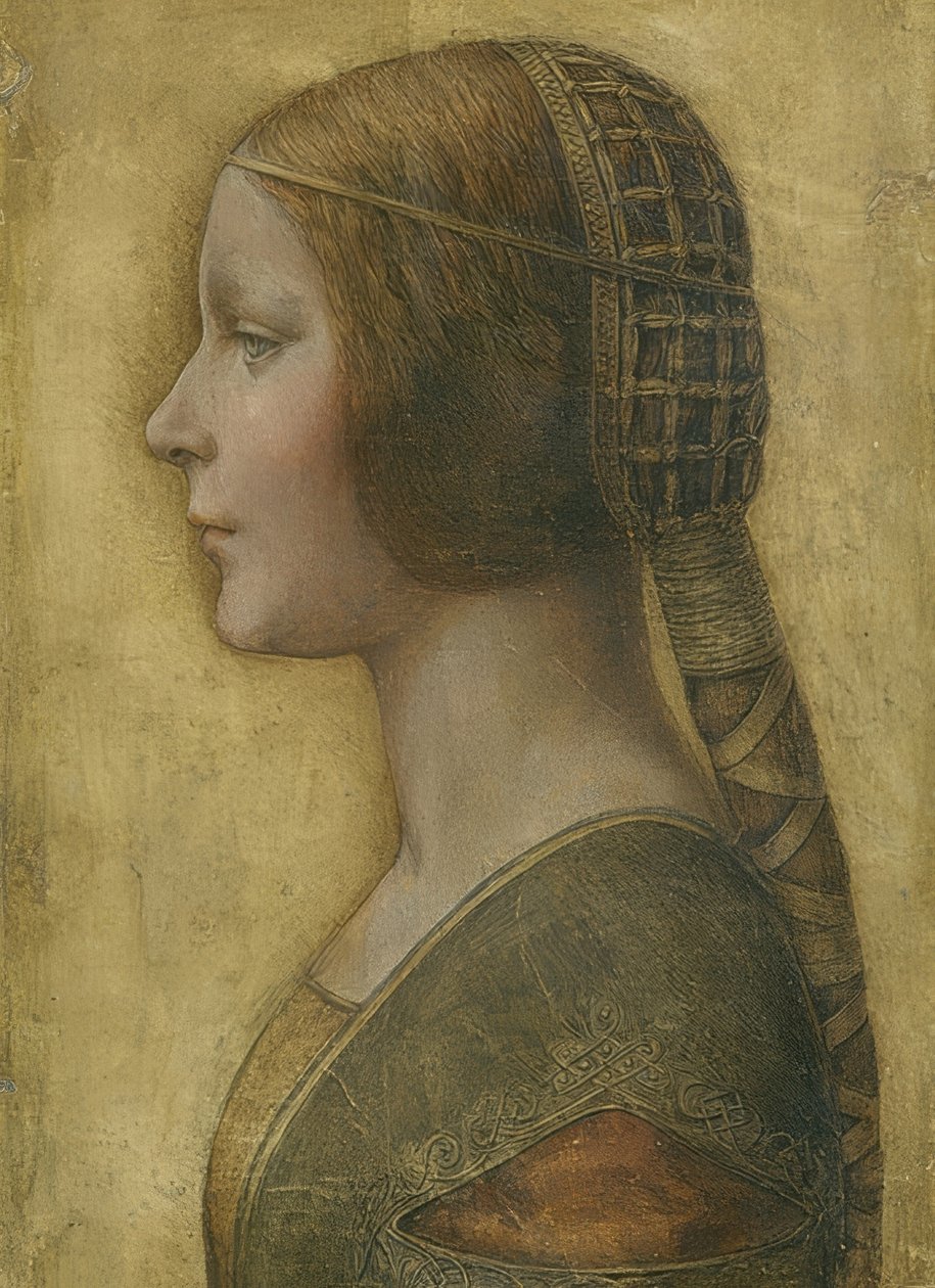 Güzel Prenses. 1496 by Leonardo da Vinci