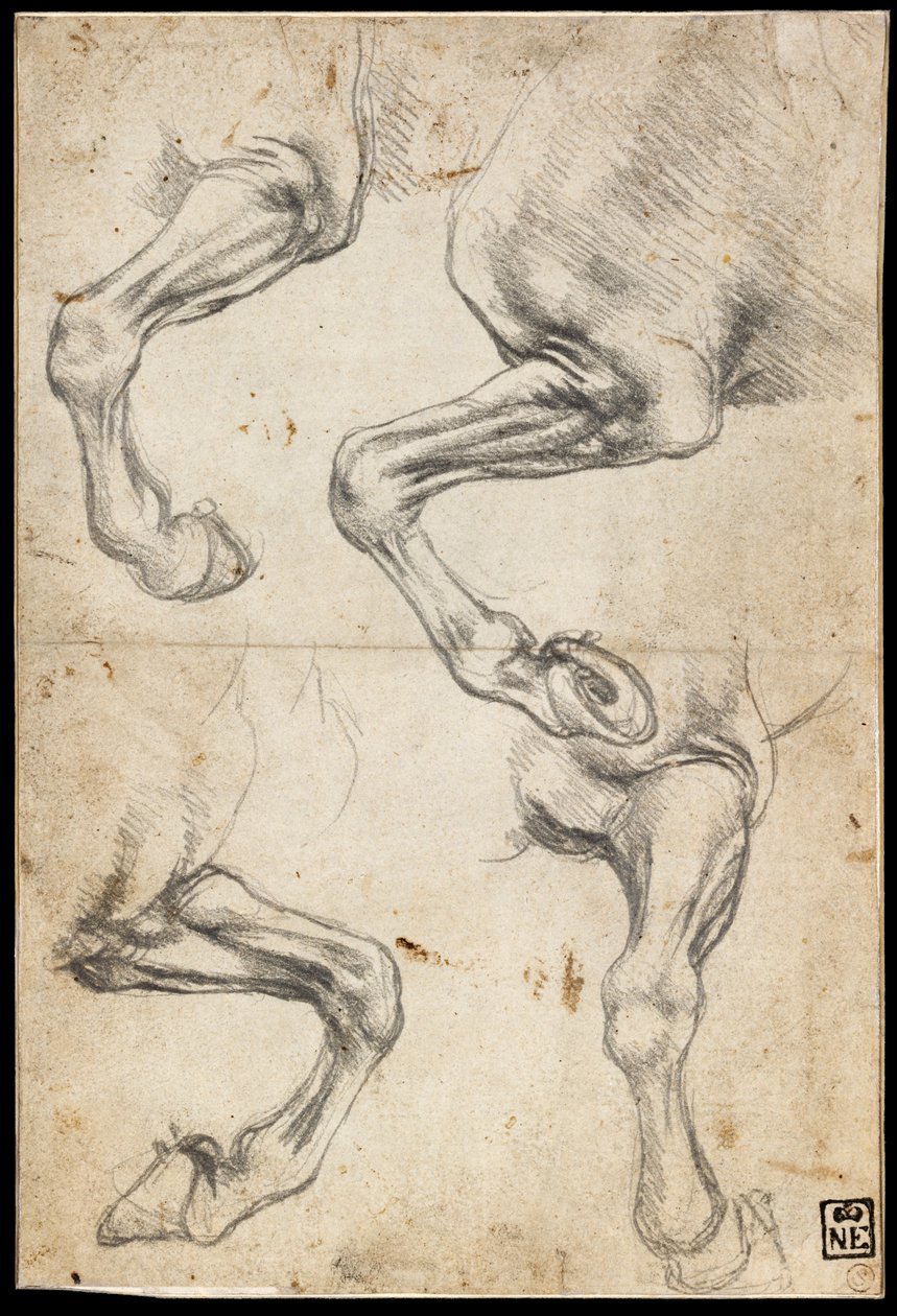  by Leonardo da Vinci