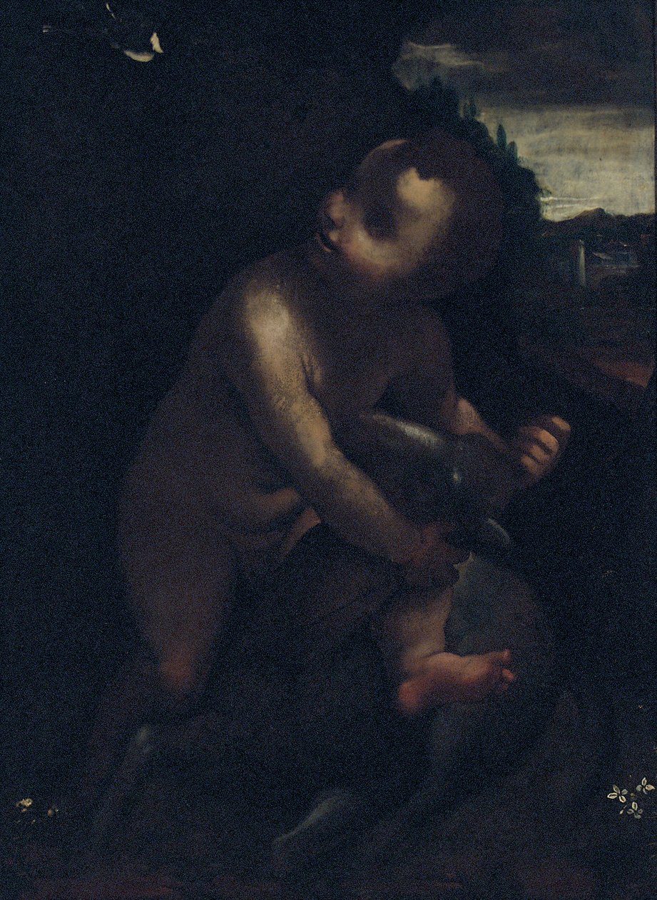 Bebek Vaftizci Yahya by Leonardo da Vinci