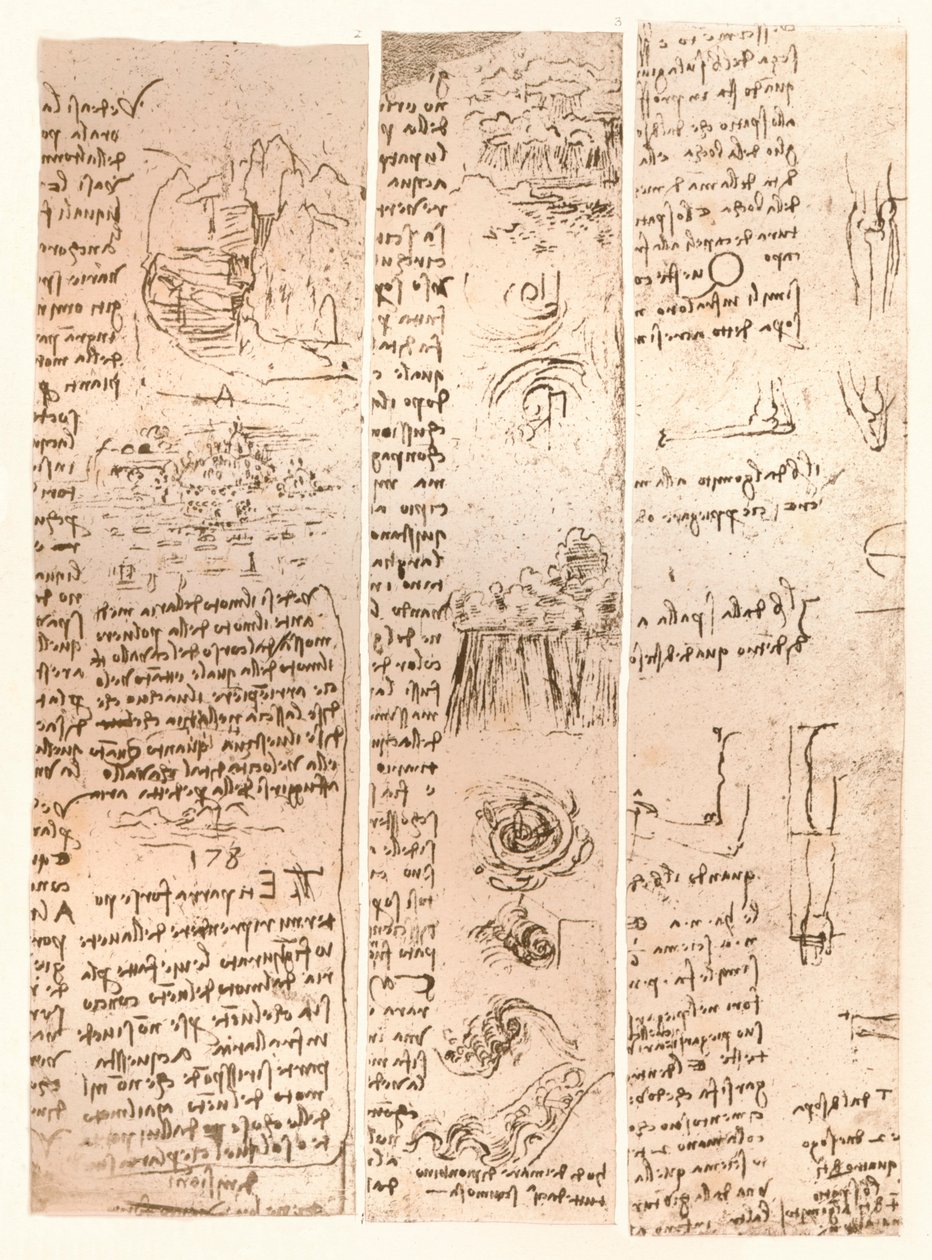 Üç çizim, c1472-c1519 1883 by Leonardo da Vinci