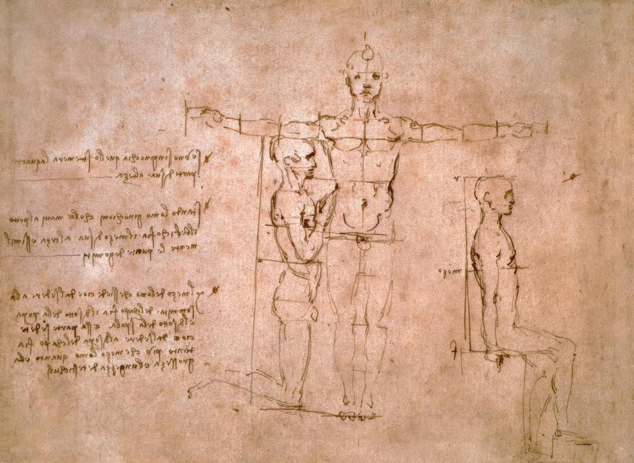 Karşılaştırmalı orantı çalışmaları... by Leonardo da Vinci