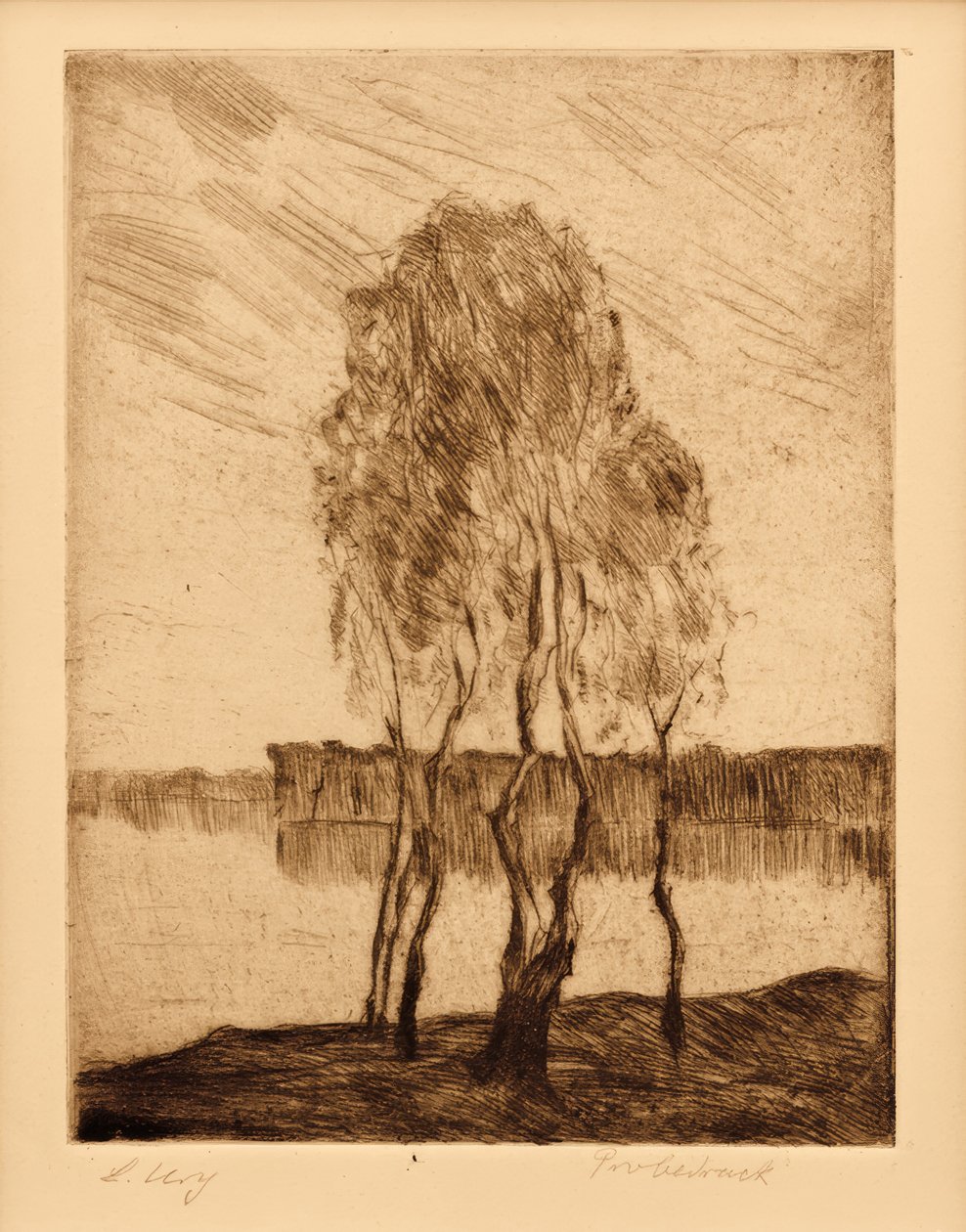 Brandenburg bölgesindeki gölde üç huş ağacı by Lesser Ury