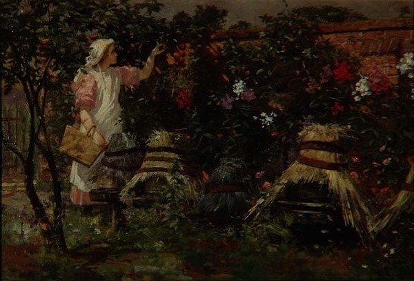 Kız ve Arı Kovanları by Lexden L. Pocock