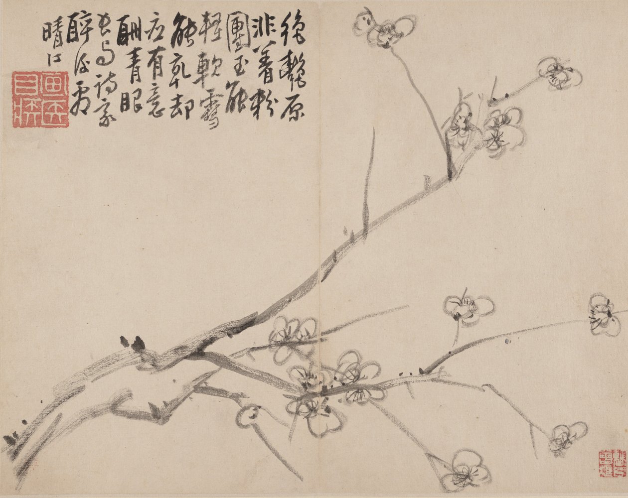 Blossoming Plum albümü, 1742. by Li Fangying