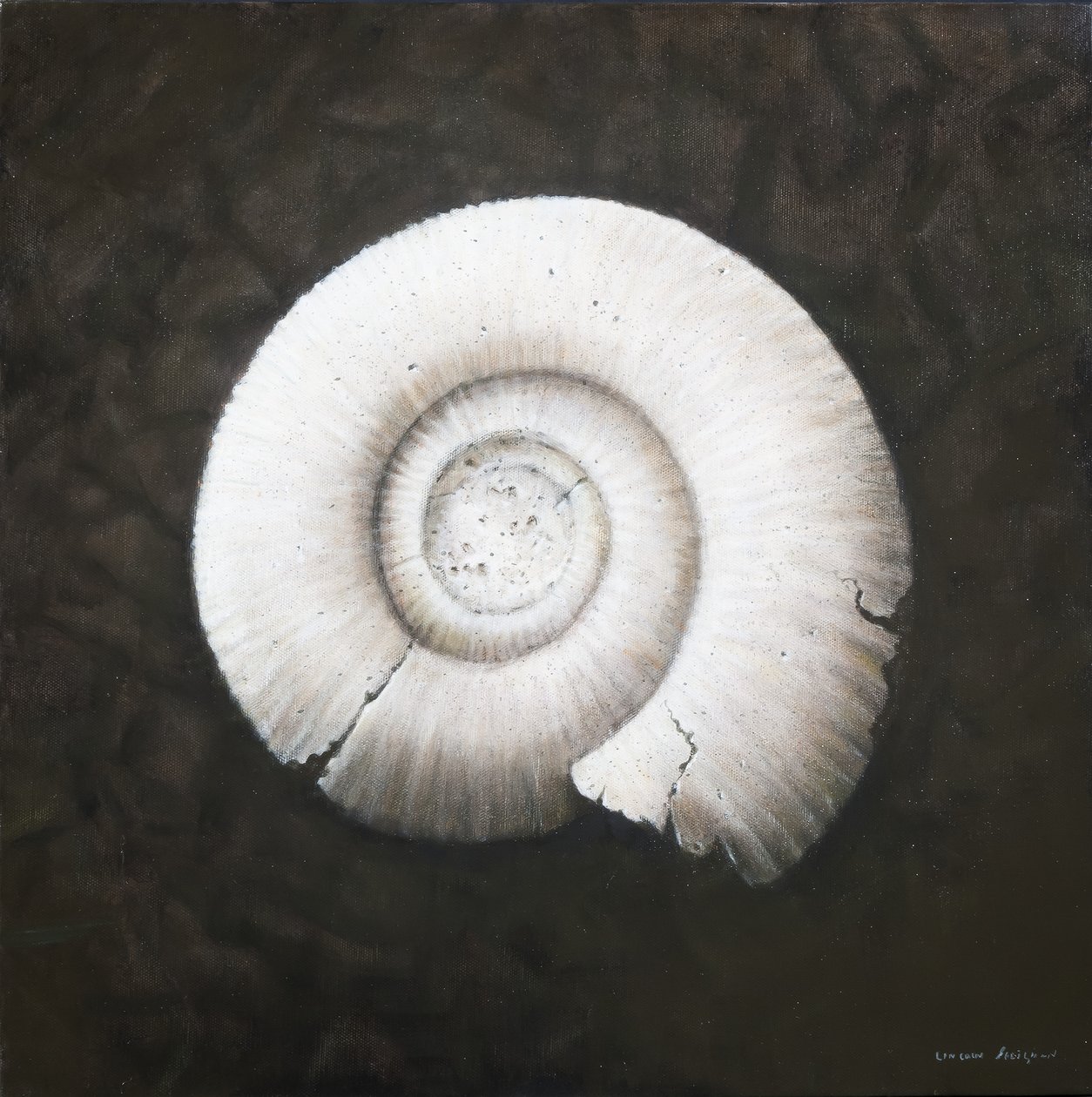 Amononite, 2012 (tuval üzerine akrilik) by Lincoln Seligman