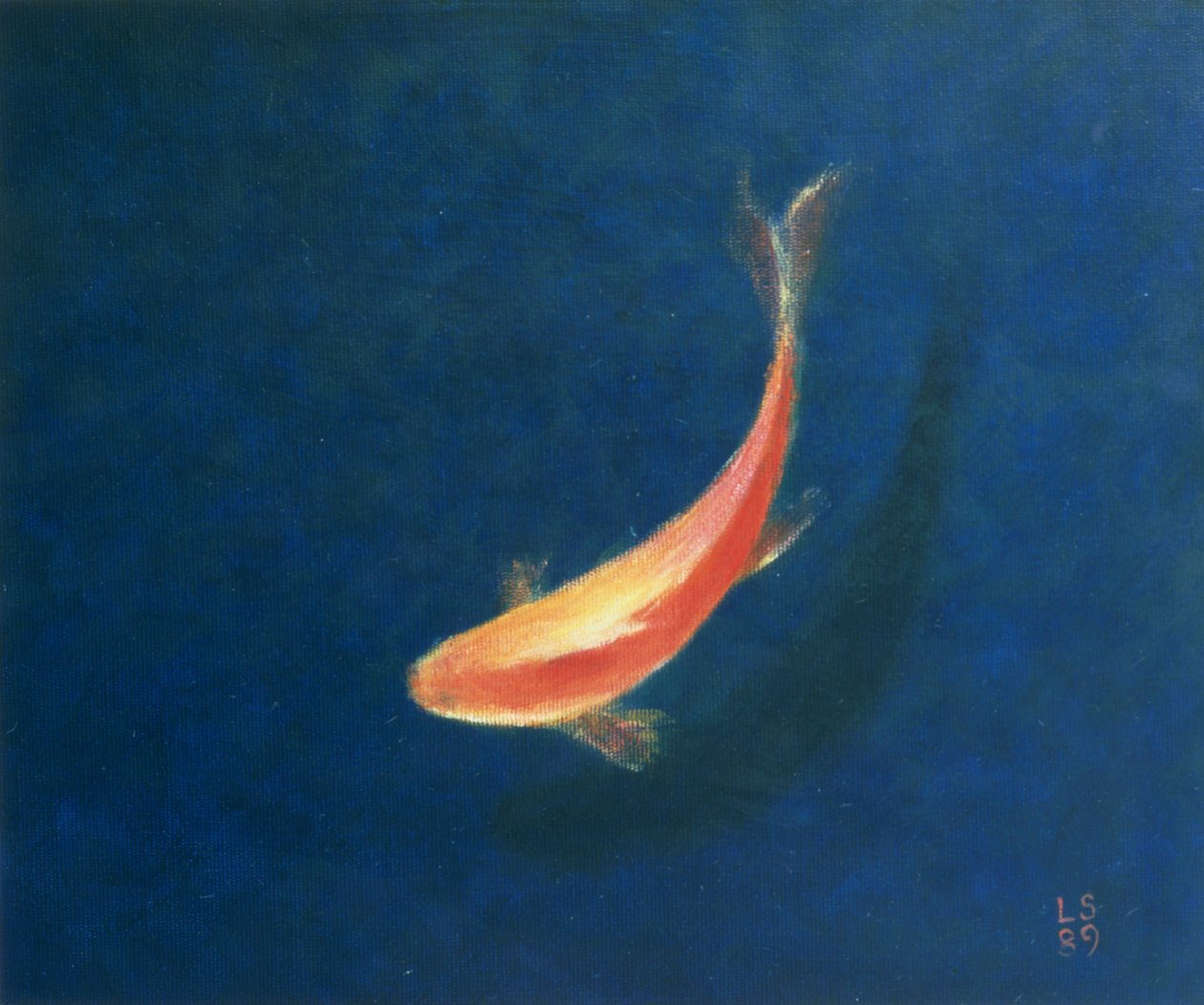 Akvaryum balığı by Lincoln Seligman
