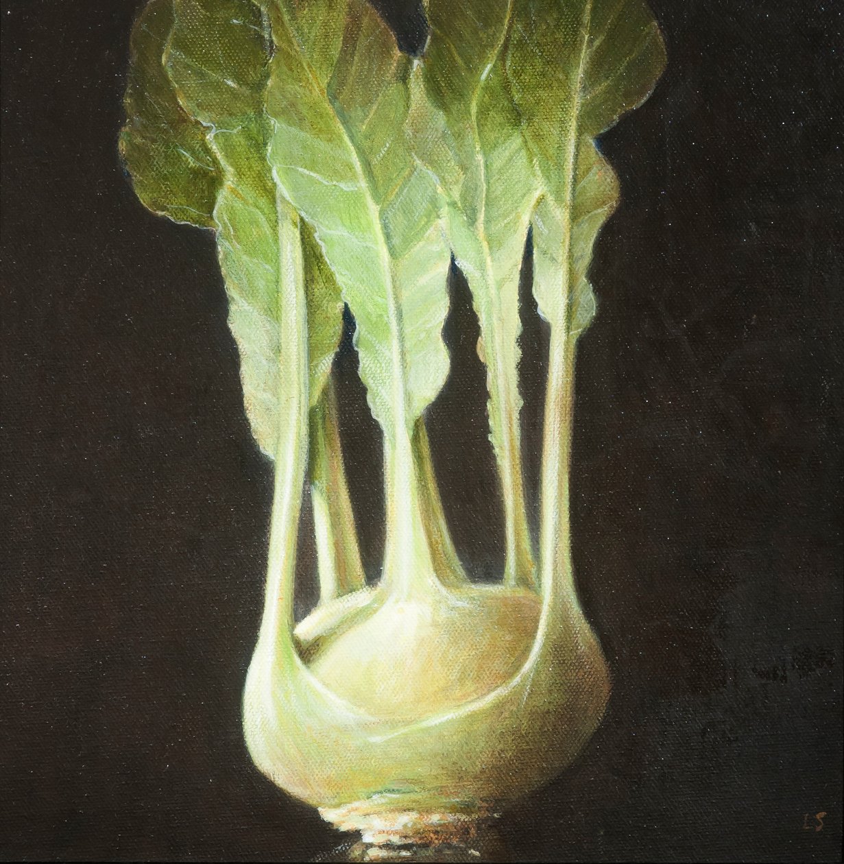 Kohl Rabi, 2012 (tuval üzerine akrilik) by Lincoln Seligman