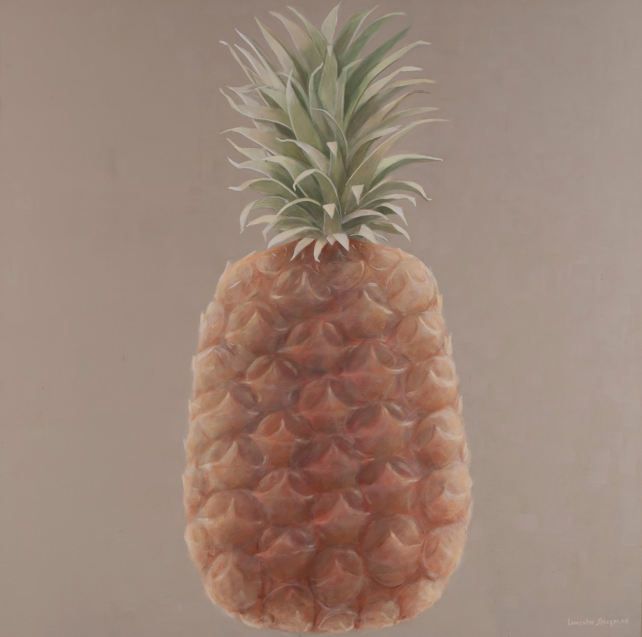 Ananas, 2012 (tuval üzerine akrilik) by Lincoln Seligman