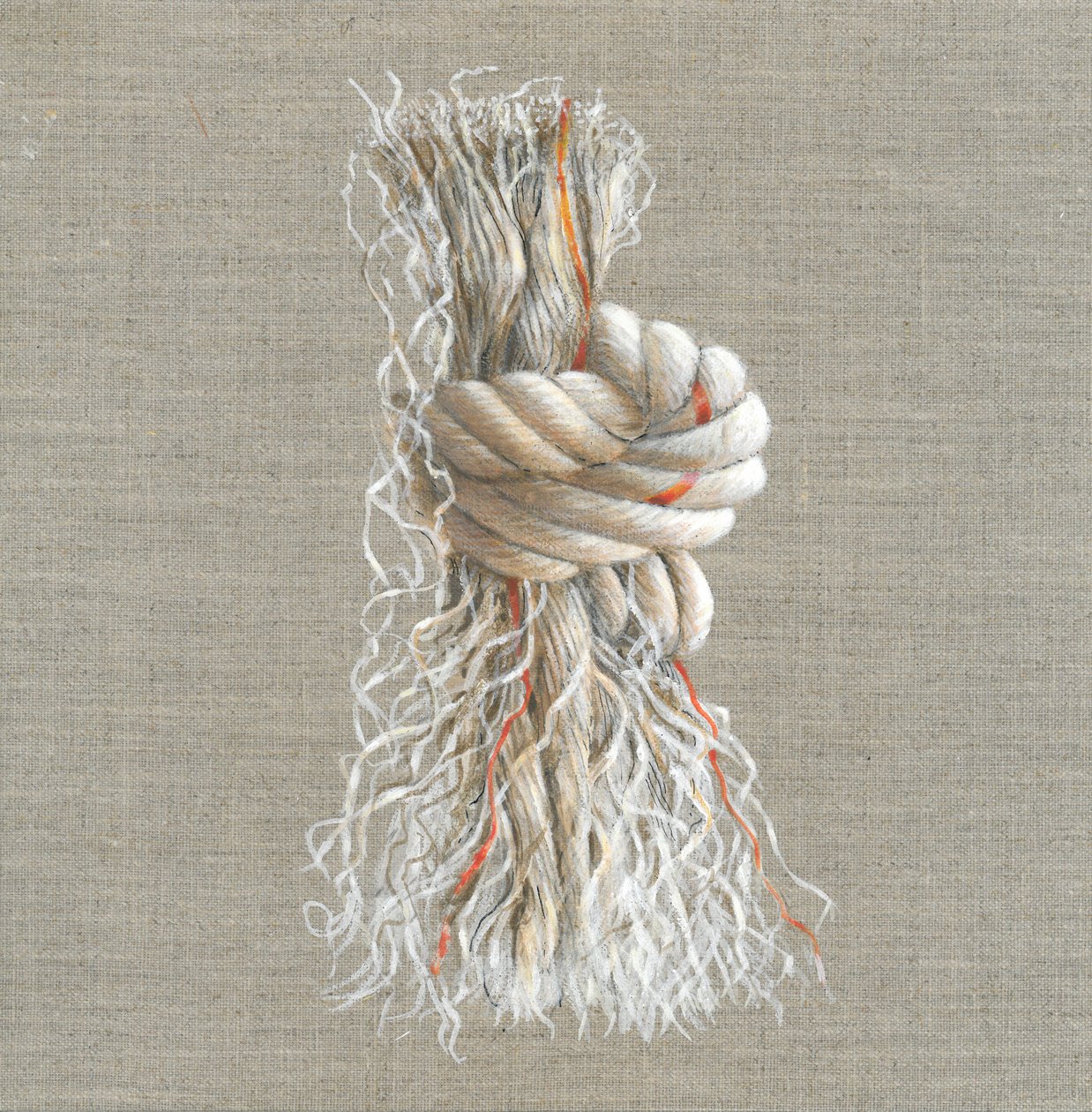 Halat Düğüm (kağıt üzerinde akrilik) by Lincoln Seligman
