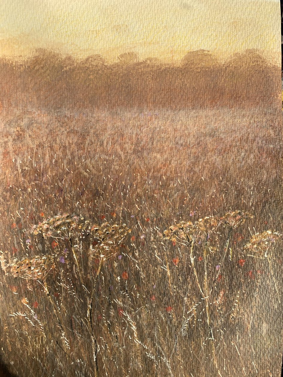 Fasulye Tarlası Alacakaranlık by Lincoln Seligman