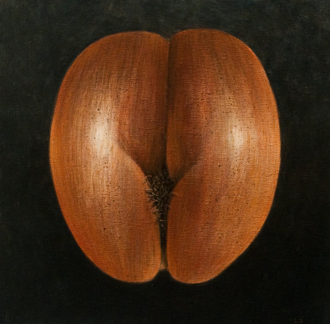 Coco de Mer, 2010 (tuval üzerine akrilik) by Lincoln Seligman