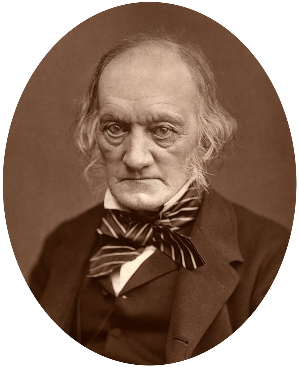 Richard Owen, 1878. by Lock and Whitfield