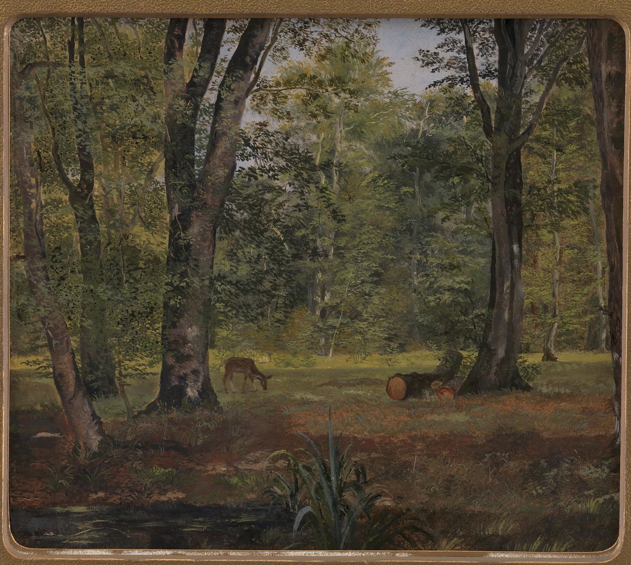 Charlottenlund Wood, Kopenhag