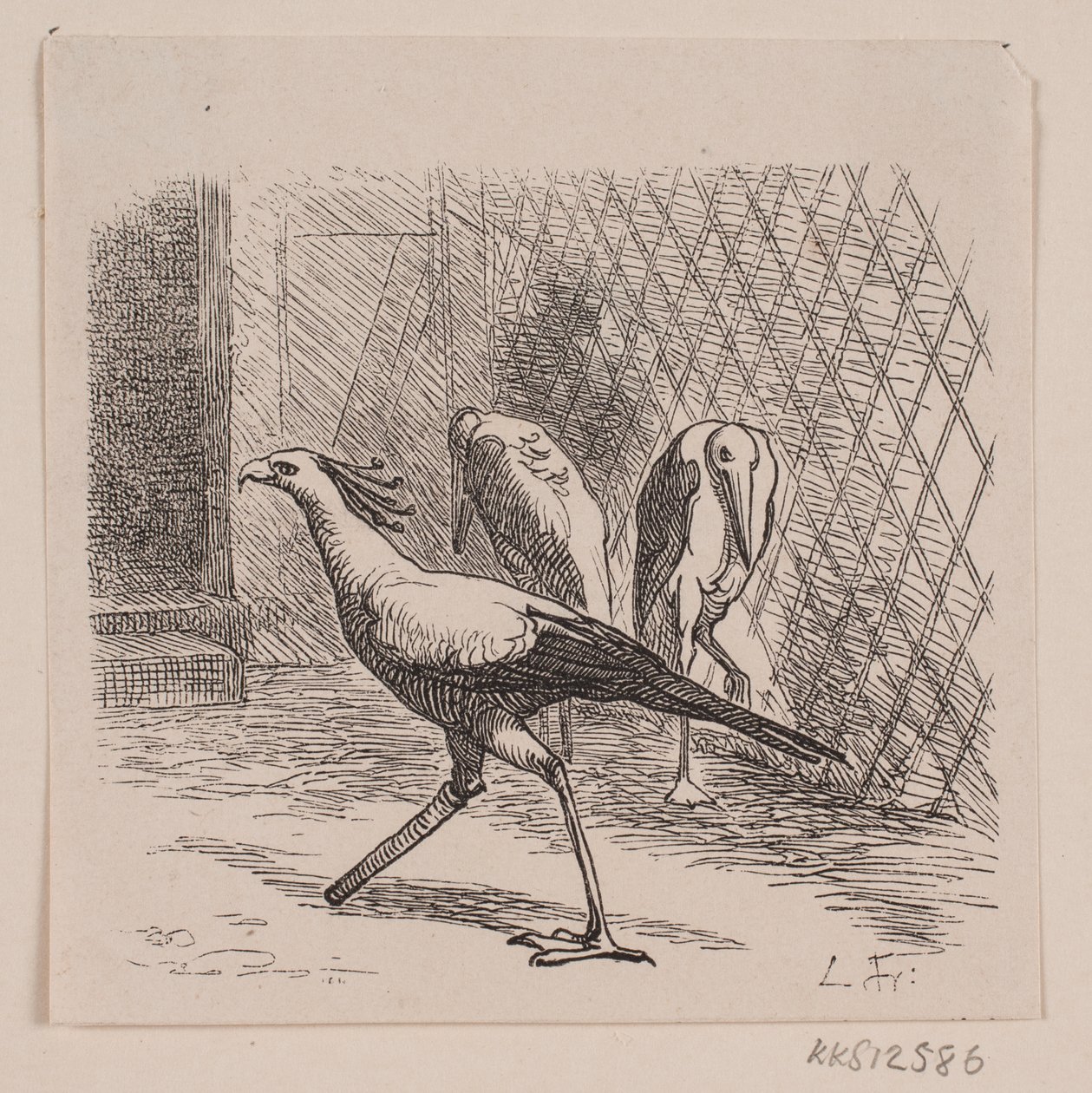 Jardin des Plantes Sekreteri by Lorenz Frølich
