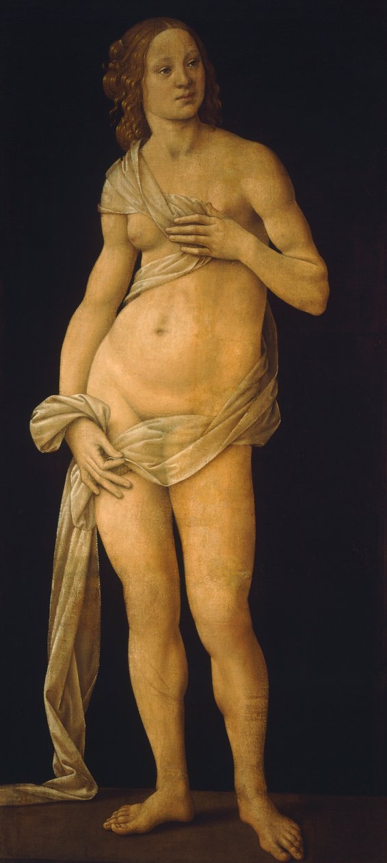Venüs by Lorenzo di Credi