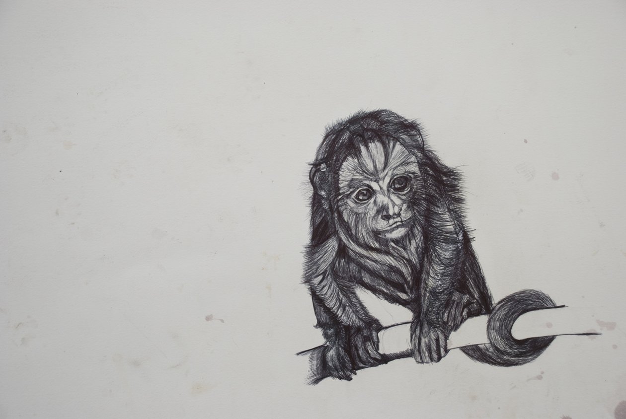 Maymun İşi,2016,(kağıt üzerinde biro) by Lou Gibbs