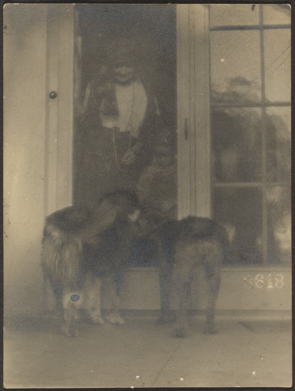  by Louis Fleckenstein