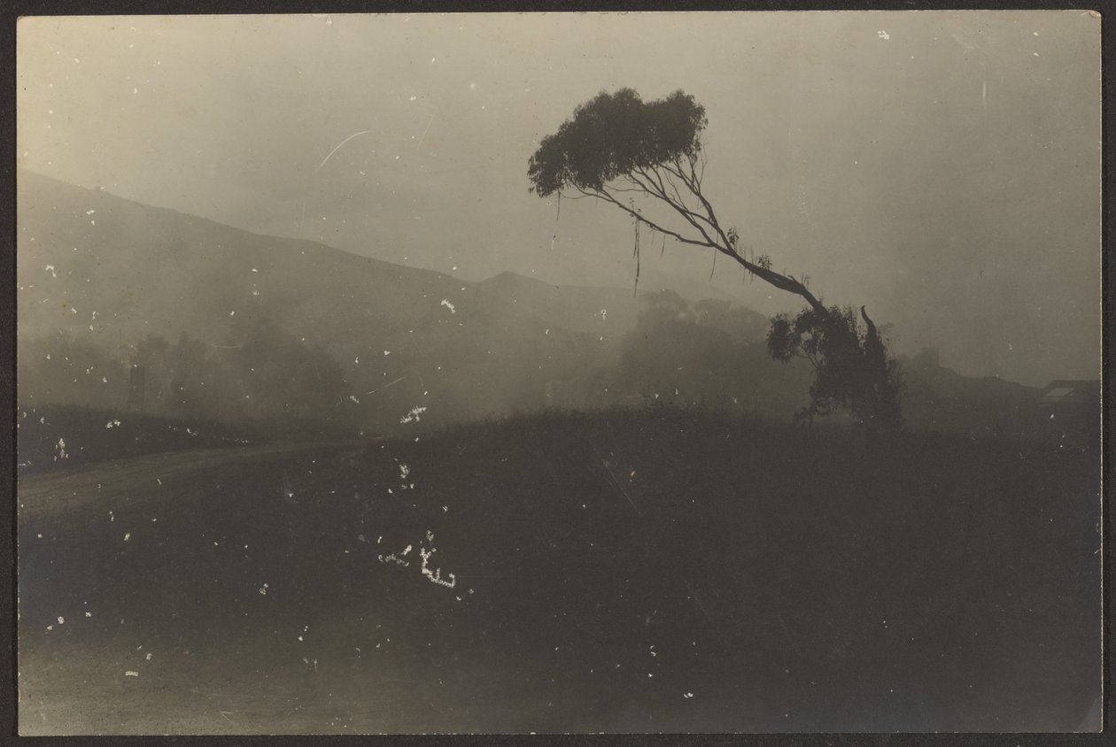  by Louis Fleckenstein