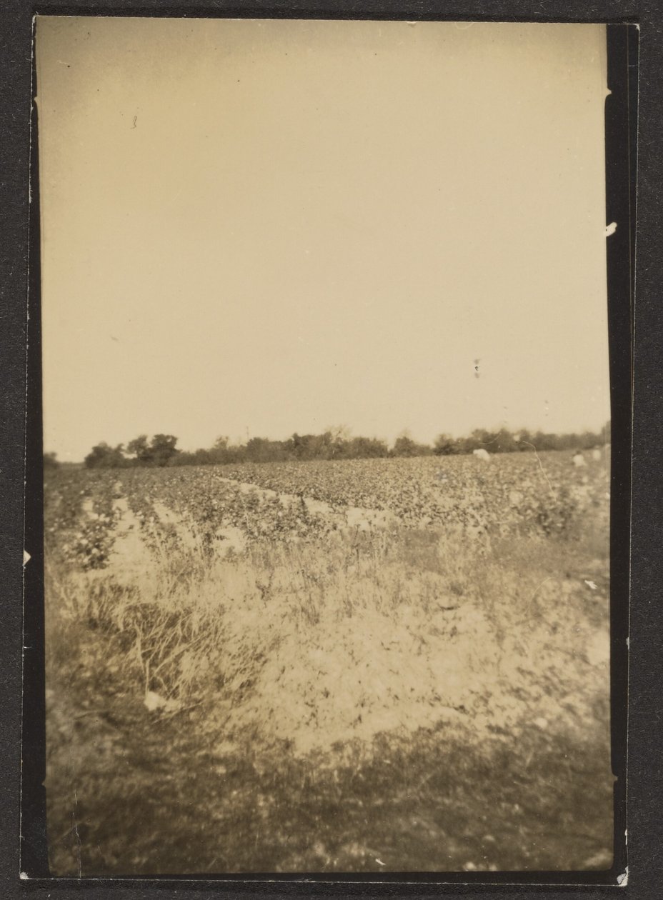  by Louis Fleckenstein