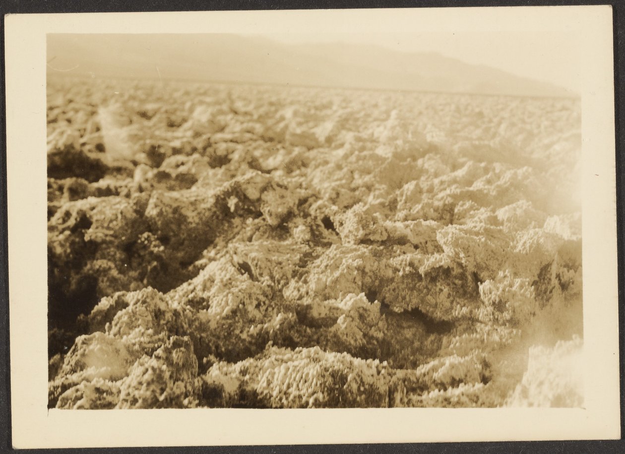  by Louis Fleckenstein