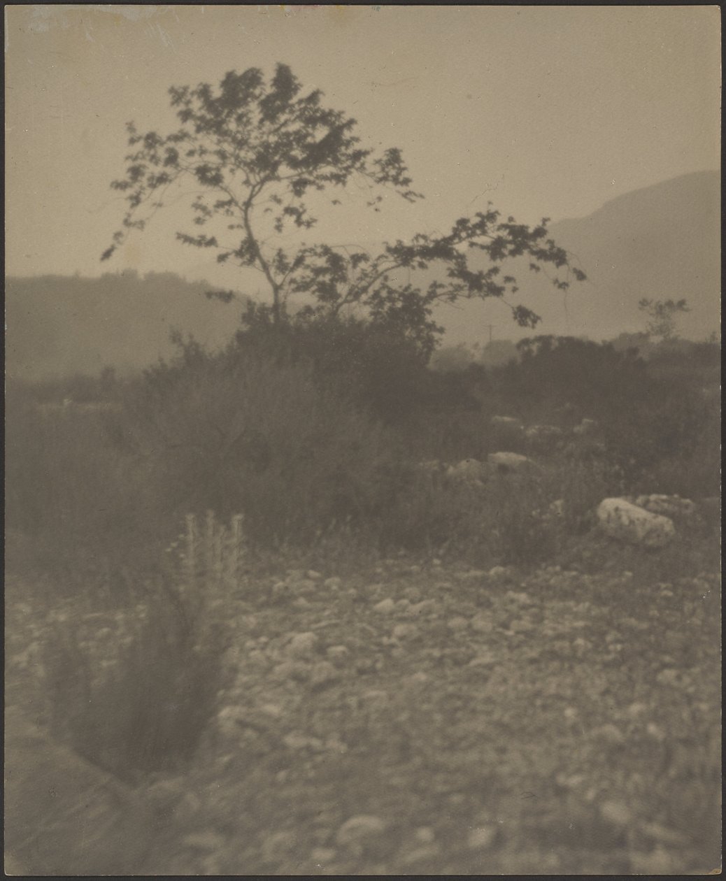  by Louis Fleckenstein