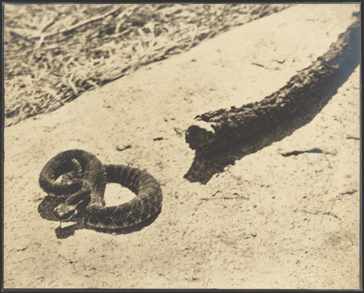  by Louis Fleckenstein
