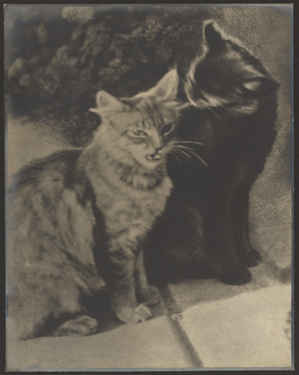  by Louis Fleckenstein