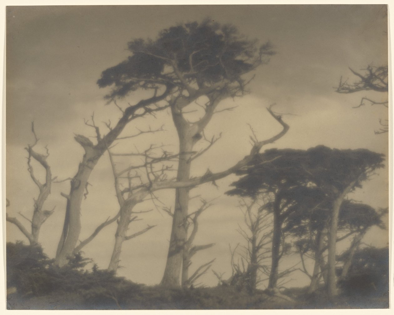 by Louis Fleckenstein