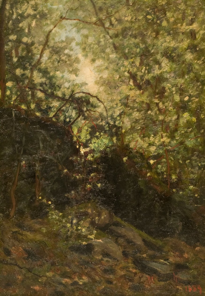 Ormanda Bir Gece, 1889. by Louis Michel Eilshemius
