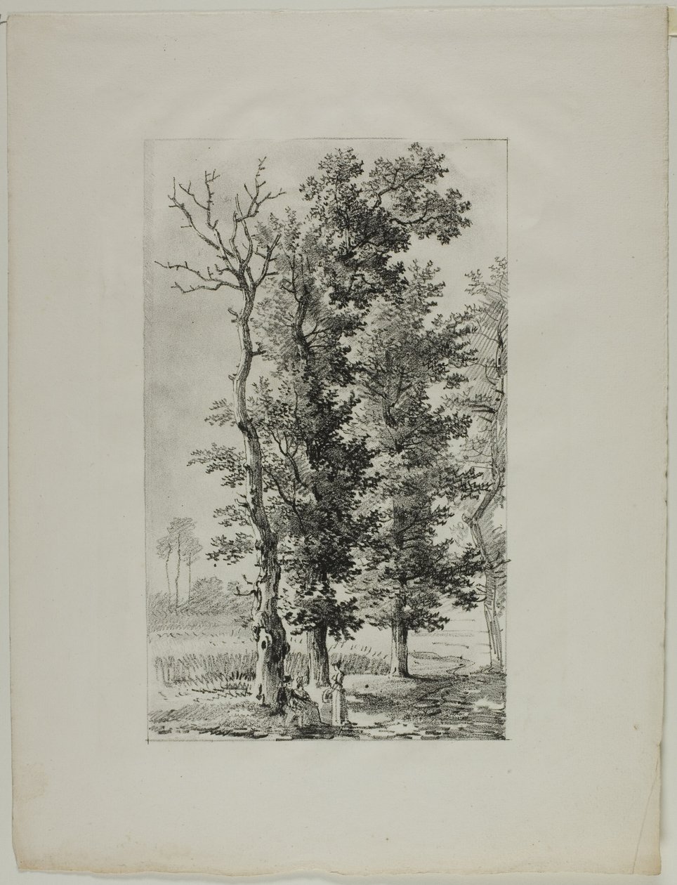 Ağaçların Çalışması by Louis Pierre Baltard