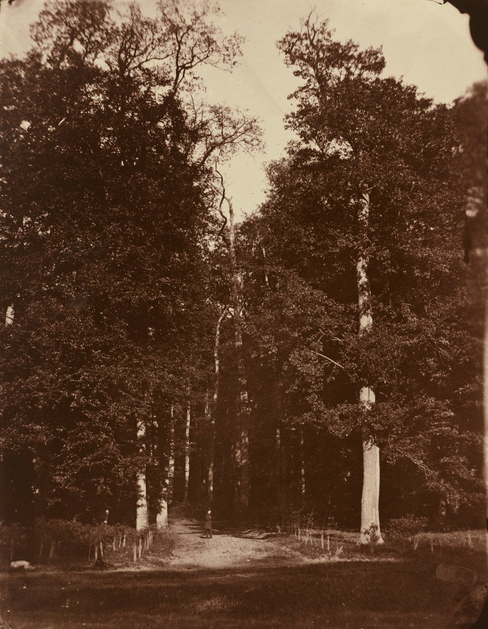 Saint-Cloud