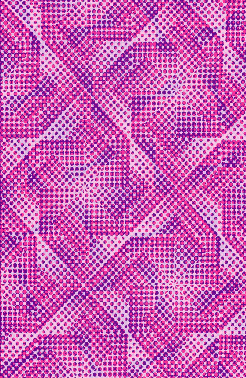 Noktalı (dijital) by Louisa Hereford