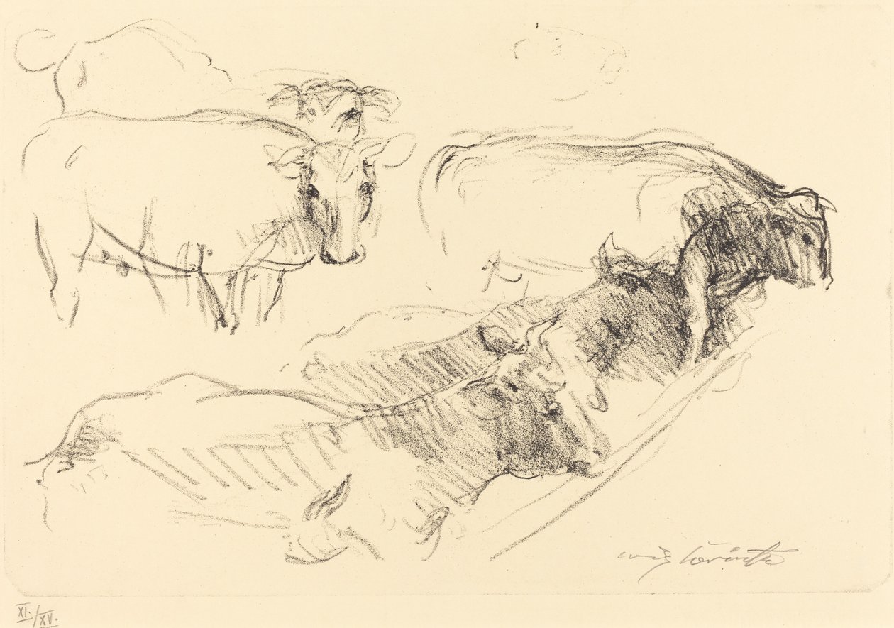 İnekler İnekler, 1910. by Lovis Corinth
