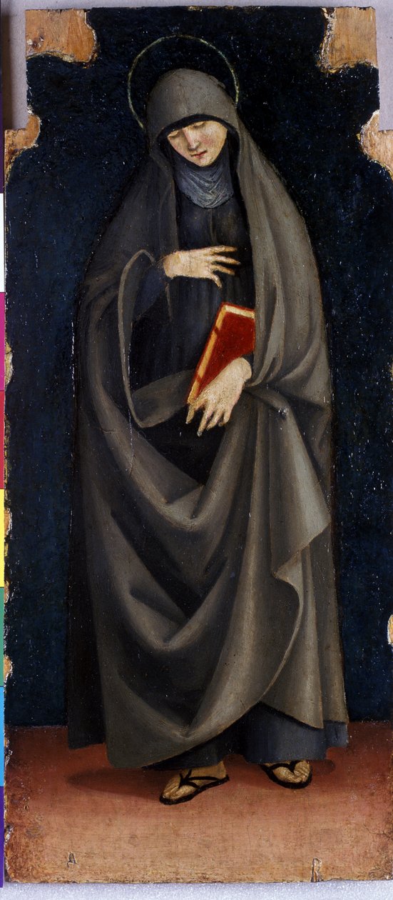 St. Clare, c.1515-20 (kavak ağacı üzerinde tempera) by Luca Signorelli