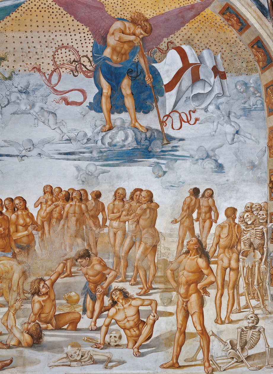  by Luca Signorelli
