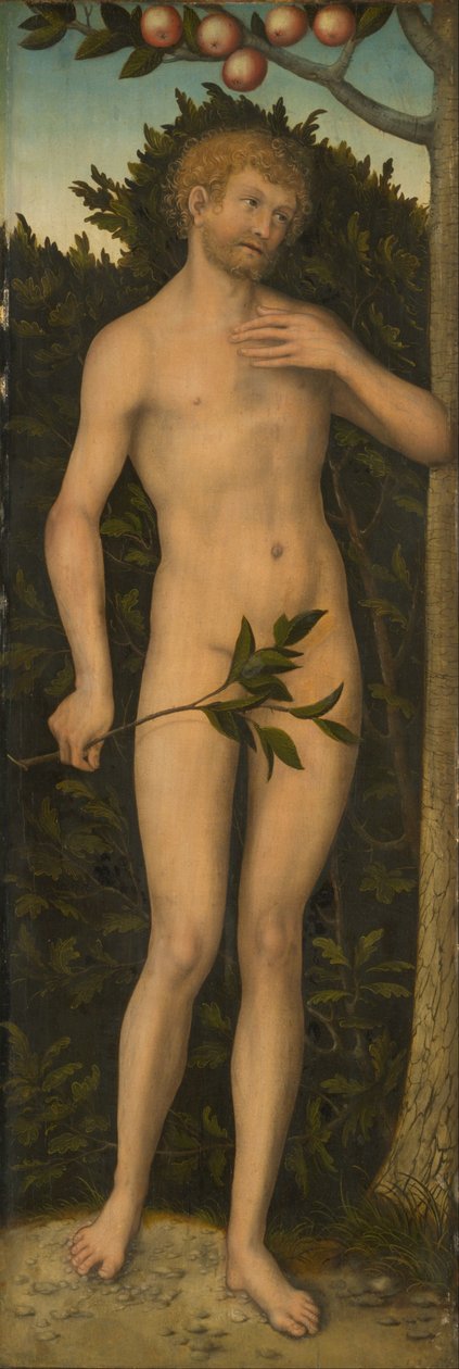 Adem by Lucas Cranach the Elder