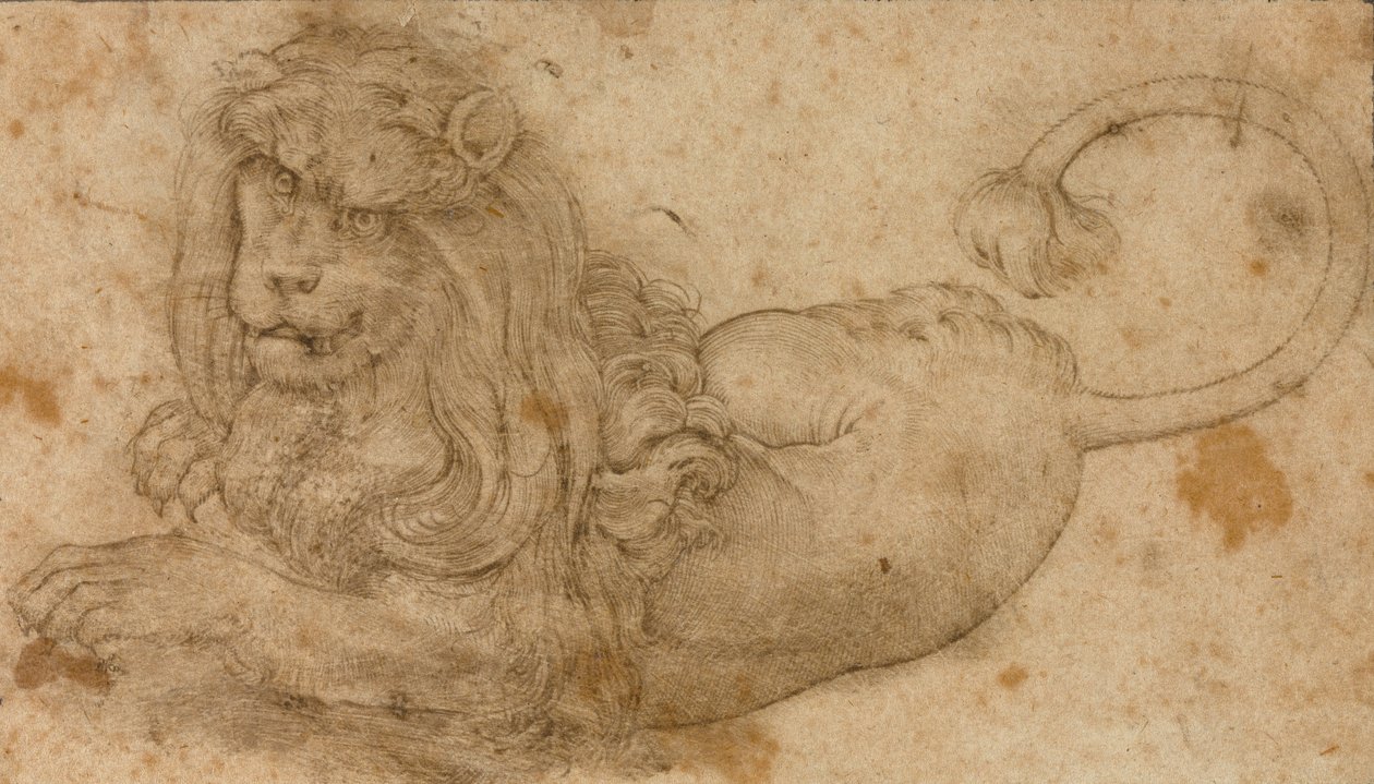 Aslan Çalışması by Lucas Cranach the Elder