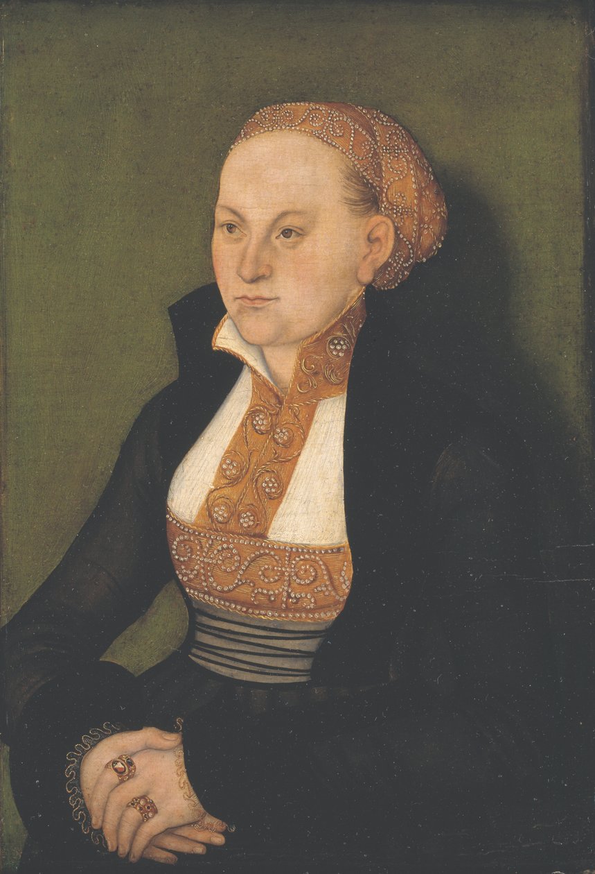 Bir Bayan Portresi by Lucas Cranach d.Æ.